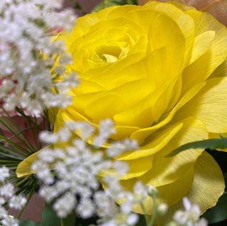 ナランキュラス・いただいた黄色のお花がとっても綺麗で・・
